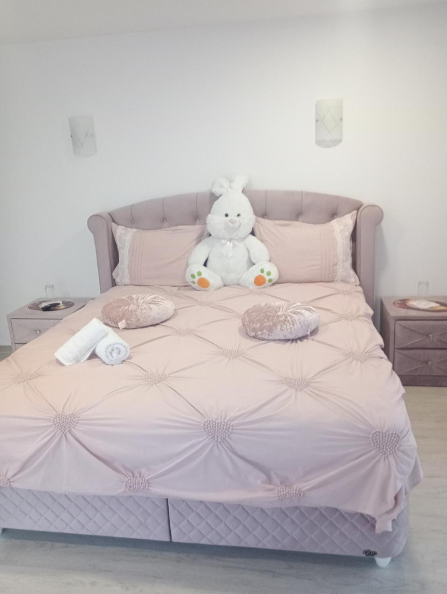 Izabella Guest House Sacele Luaran gambar