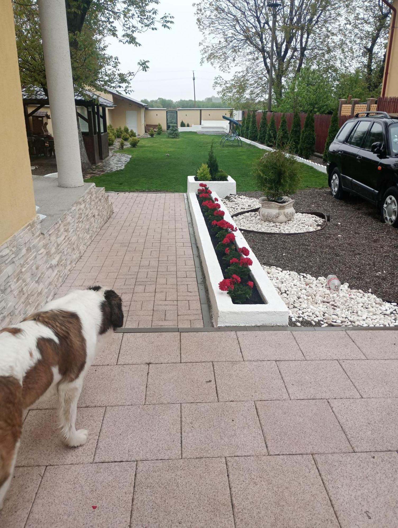 Izabella Guest House Sacele Luaran gambar